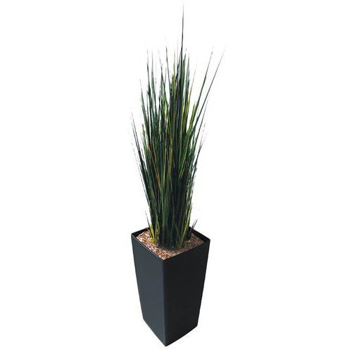 PETIT BAC CARRÉ ANTHRACITE HERBES