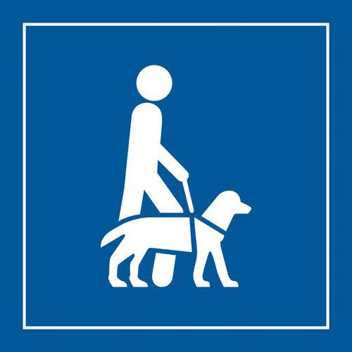 PICTO CHIEN GUIDE GRAVOPLY BLANC/BLEU 250X250