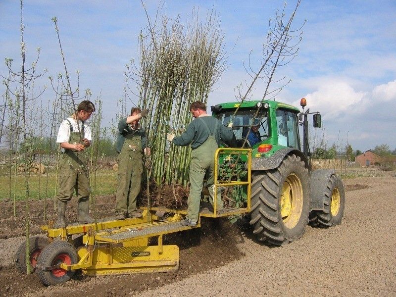 Planteuse à courroies à 4 rangs portée ou traînée