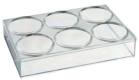ASSIETTE DE PRÉSENTATION SOLIA TRANSPARENT (VENDU PAR 60)