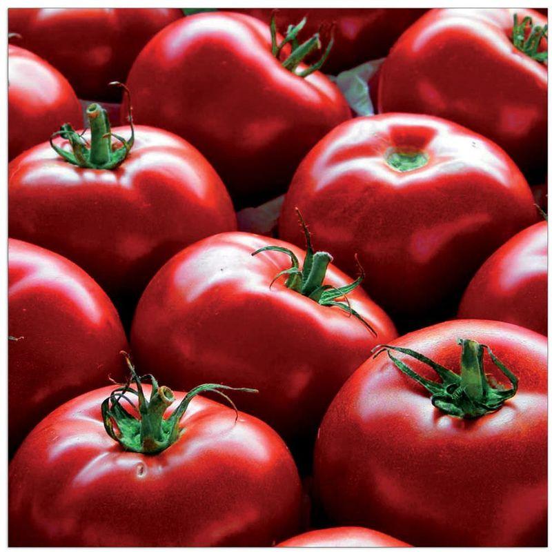 DECORATIVE PICTURE POMODORI CM 30X30X1,8 TWINSOR EC21606