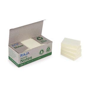 NOTES RECYCLÉES RAJA