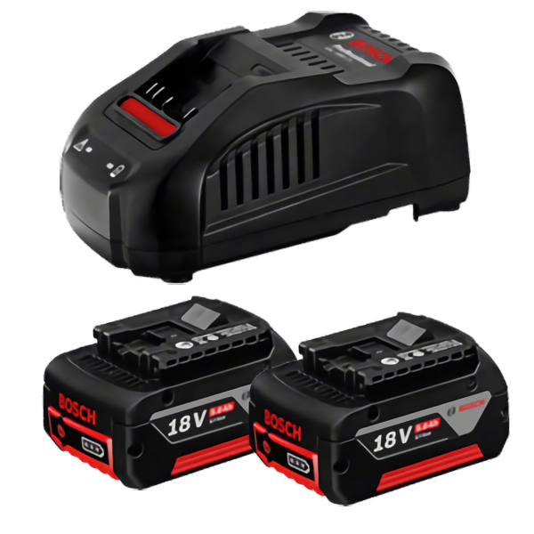 PACK 2 BATTERIES + 1 CHARGEUR BATTERIE 18 VOLTS 2 X 5.0 AH
