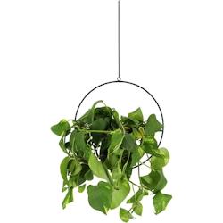 Jardinière déco ronde d'intérieur en métal noir A suspendre Esschert Design - noir 8714982205422_0