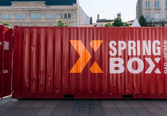 Bungalow container SPRINGBOX : Espace modulaire ultra-robuste en conteneur maritime recyclé | À vendre ou à louer_1