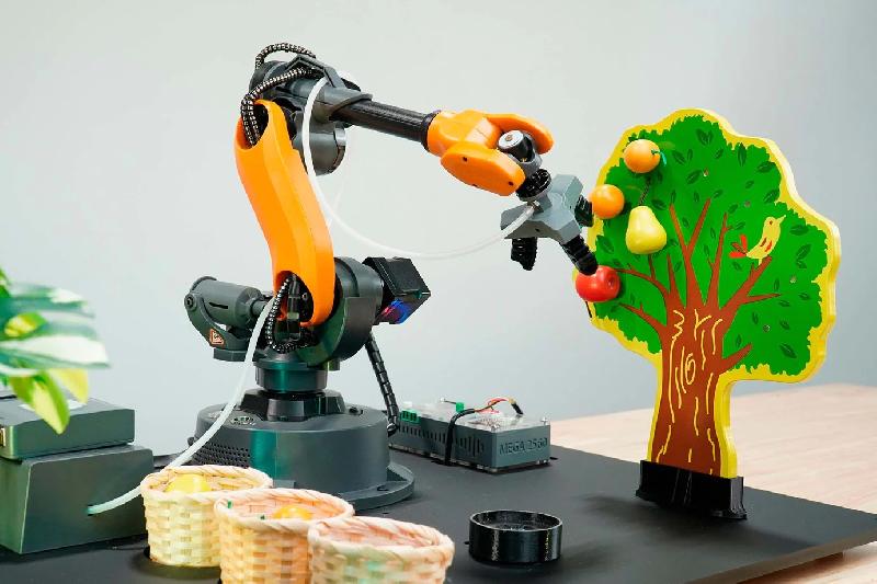 MINI BRAS ROBOTIQUE 6 AXES MIROBOT WLKATA - LIGNE DE CUEILLETTE DE FRUITS_0