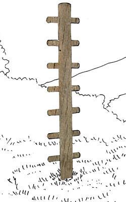 STRUCTURE PARCOURS DE SANTÉ ARBRE - ECHAUFFEMENT 2022_0