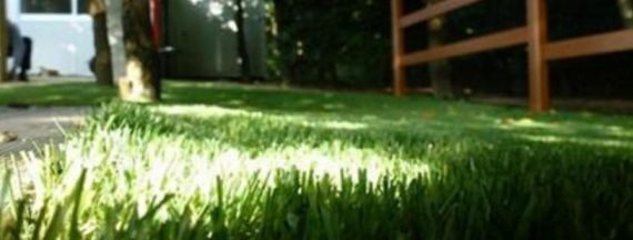 DM Green - gazon synthétique sans entretien - haute qualité - facile d'entretien_0