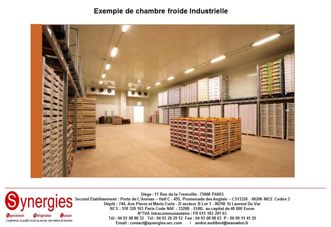 Panneau pour chambre froide industrielle - en polyuréthane - épaisseur de 60 mm à 200 mm - dimensions sur mesure_1