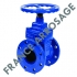 Vanne à opercule en fonte DN100 - Revêtue EPDM - Ref. 30VO100000H_0