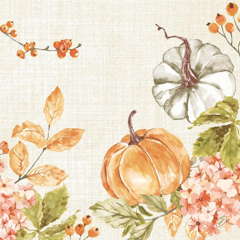 DUNI - Serviette airlaid Bio-Dunisoft 40x40cm Spicy Pumpkin 6x60 = 360 pièces - multicolore papier 211478_0