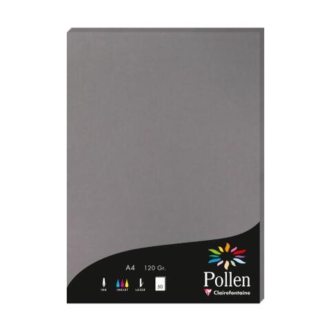 LOT DE 2 - ETUI DE 50 FEUILLES POLLEN 210X297MM 120G/M2 - GRIS ACIER