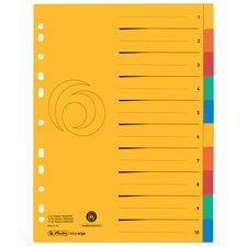 LOT DE 8 - INTERCALAIRE CARTON, A4 EXTRA LARGE, 10 TOUCHES, UNI