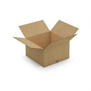CAISSE CARTON BRUNE DOUBLE CANNELURE RAJA 50X50X30 CM