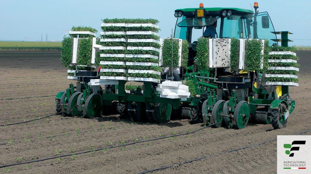 Planteuse de choux