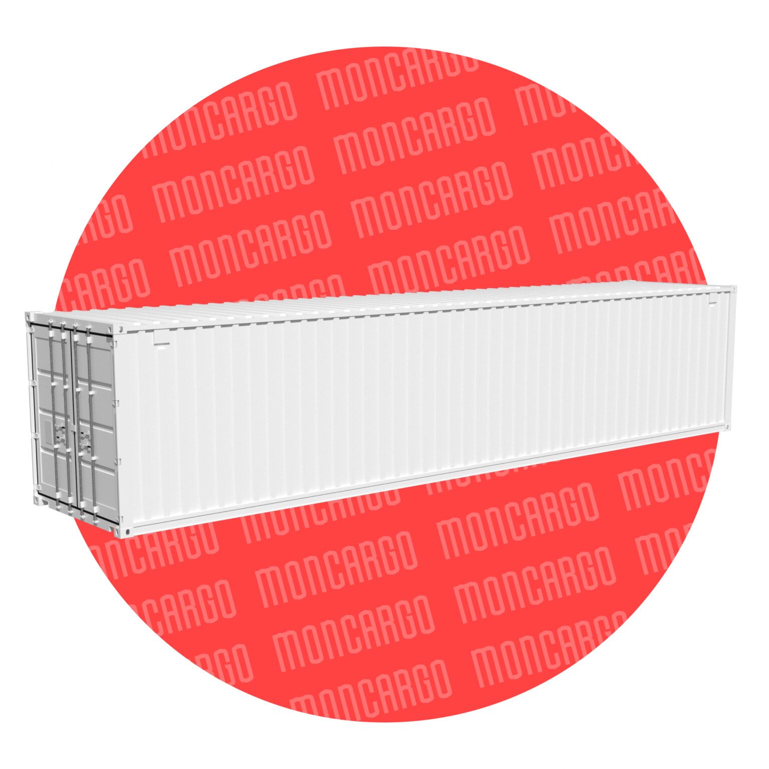 Container maritime 40 pieds DRY Occasion - Révisé et étanche_1