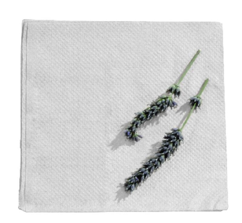 Nvase ECOLOMIQUE - 100 Pcs - Serviette ouate blanche 2 plis 300 x 300 mm - blanc papier NVS210S30302P_0