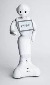 Pepper - robot humanoïde - softbank robotics - modules de perception pour reconnaître et suivre son interlocuteur du regard_0