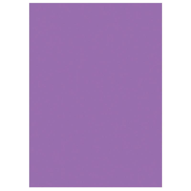 RAJA CHEMISES DOSSIERS 220G RECYCLÉES - 24 X 32 CM - VIOLET - LOT DE 100