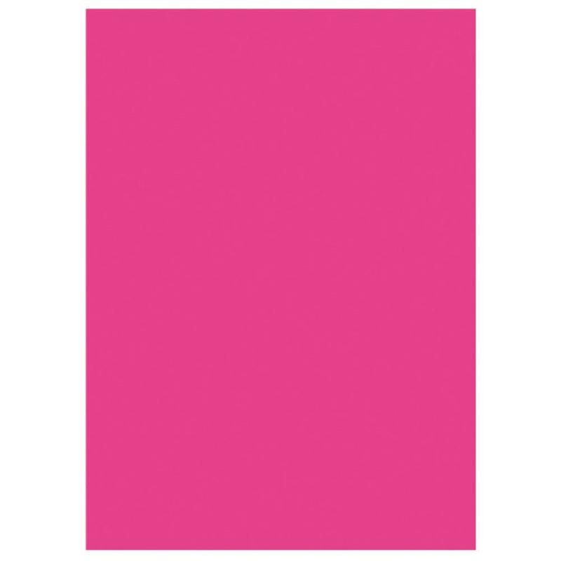 STAPLES CHEMISES-DOSSIERS - VIF - FUCHSIA EN CARTE - 220G/M² (LOT DE 100)