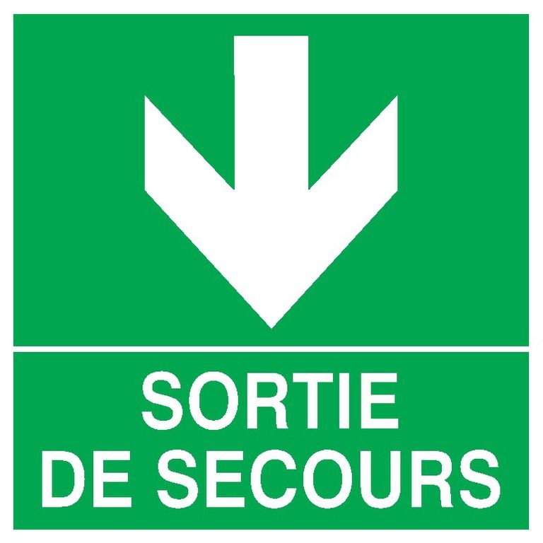 628412 - Signalisation sécurité travail - Sortie de secours flèche en bas - 200 x 200 mm - PS-Choc_0