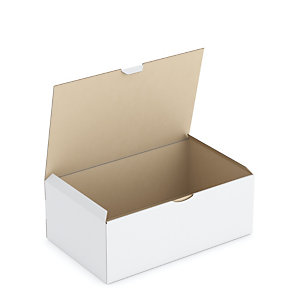 BOÎTE CARTON BLANCHE D'EXPÉDITION RAJAPOST 35X22X13 CM