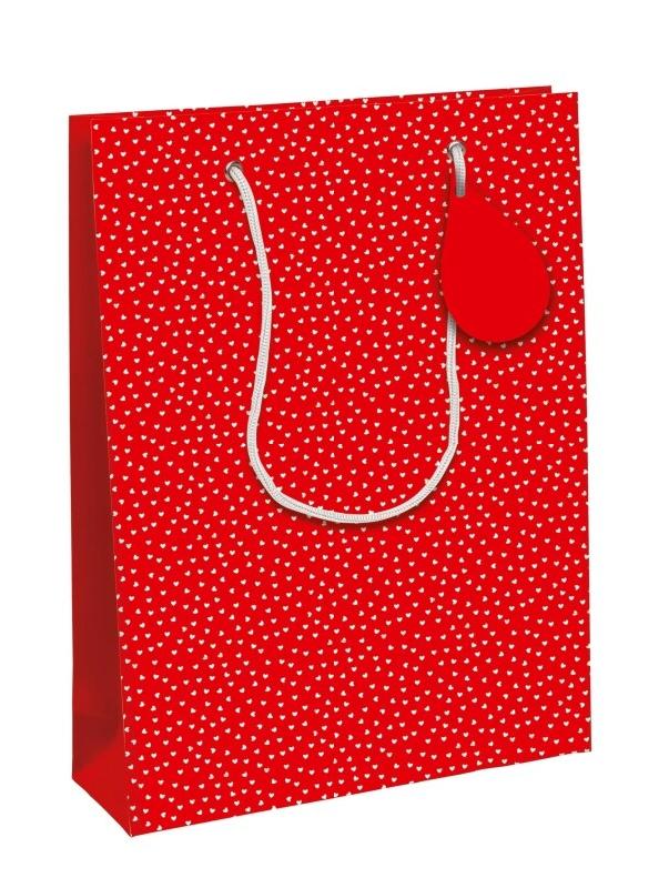 Clairefontaine Lot de 6 Sac cadeau Spicy Love, format large (26,5x14x33 cm), papier 210 g/m², anses cordelettes - 5033601014515_0