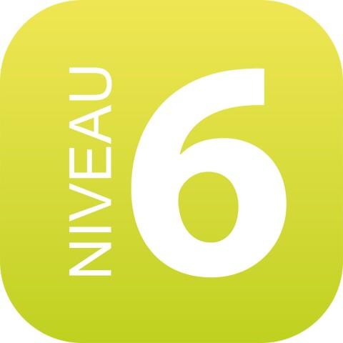 LOT DE 2 - PLAQUE SIGNALÉTIQUE EN PLEXIGLAS PLEXI - NIVEAU 6 (VERT CLAIR)
