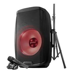 Gemini AS-2115BT-LT-PK, Enceinte sono Boomer 15