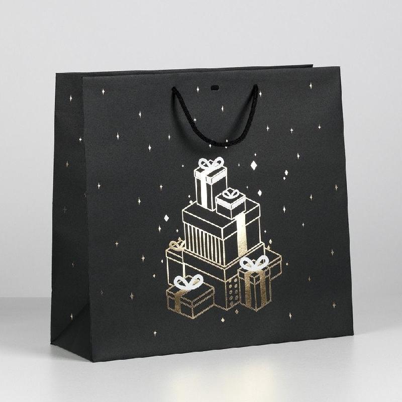 Sac luxe 