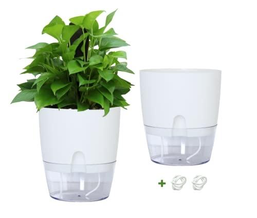 HYDROX® - Lot de 2 pots de fleurs auto-arrosage pour la cuisine - Avec système d'irrigation, idéal pour herbes et plantes d'intérieur_0