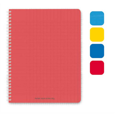 CAHIER ECO - SPIRALES - COUVERTURE POLYPRO - 180 PAGES - 17 X 22 CM - PETITS CARREAUX - COLORIS ASSORTIS