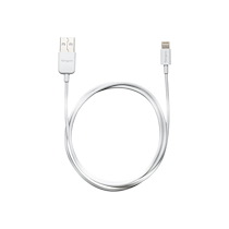 TARGUS CÂBLE LIGHTNING - LIGHTNING / USB - 1 M