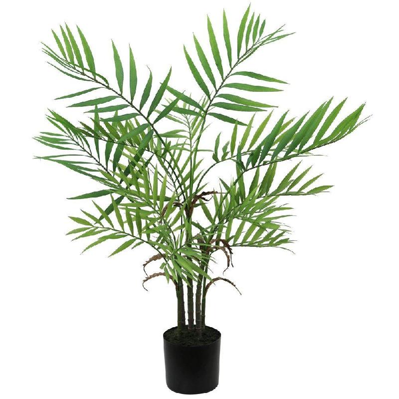 Palmier Areca dans pot plastique H76cm_0