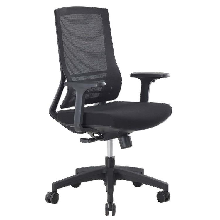 Sigower - Fauteuil de bureau ergonomique pour télétravail - Dossier filet noir - Accoudoirs réglables_0