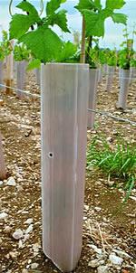 Tube alvéolaire protection plants de vignes - Winytub - Marron ou Vert_0