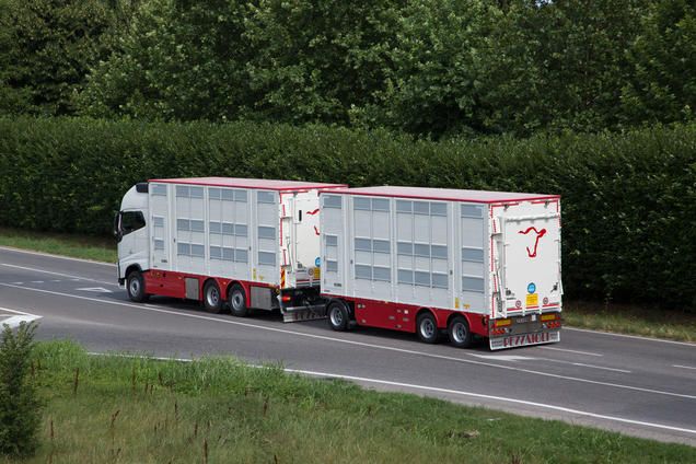 Rba32 - remorque bétaillère - carrozzeria pezzaioli - essieux jumelés simples fixes de 10000 kg_0