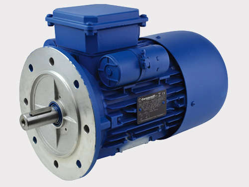 Moteur électrique monophasé 3000 tr/min - Taille 80 - B5 - 0,75 kW - coupleur centrifuge_0