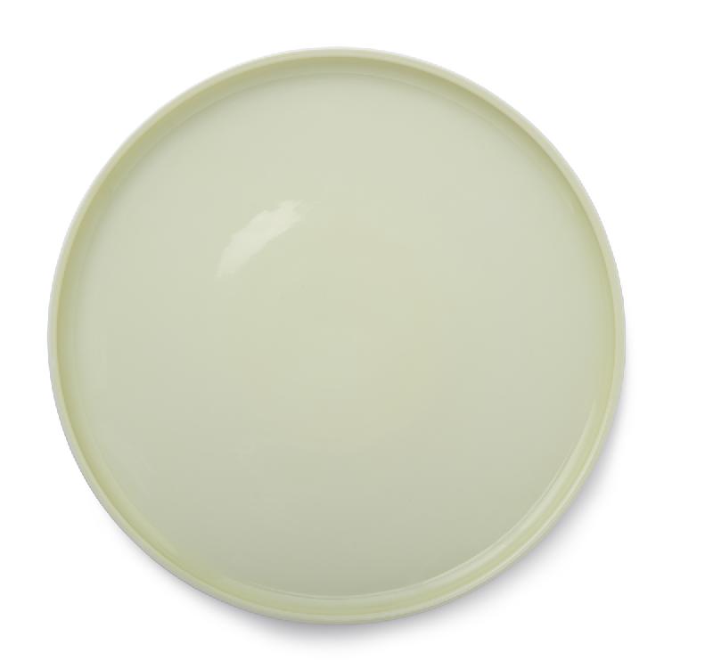ASSIETTE PLATE ROND VERT PORCELAINE Ø 24 CM LA VAISSELLE DE L'ECONOME DEGRENNE