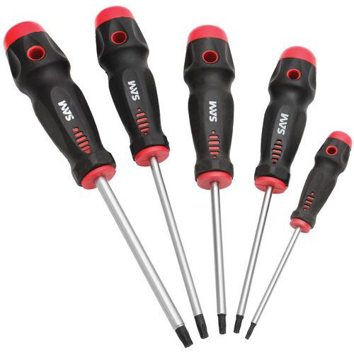 JEU DE 5 TOURNEVIS TORX - SAM