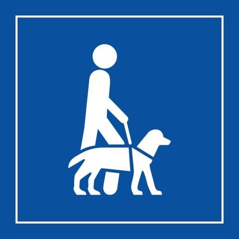 LOT DE 3 - PANNEAU ACCESSIBILITÉ, CHIEN GUIDE OU D'ASSISTANCE - 125 X 125 - BLEU - PVC