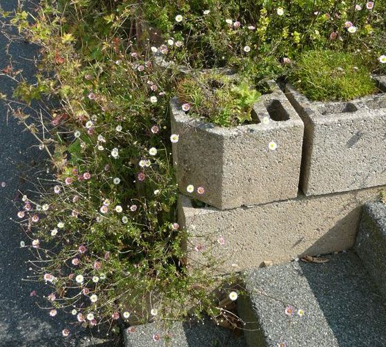 Mur de soutènement bétoflor_0