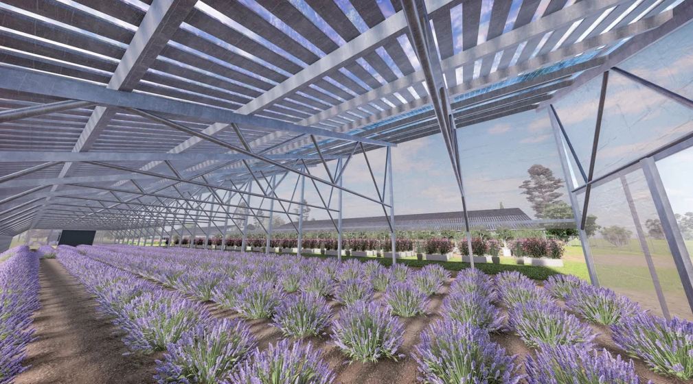 Serre photovoltaïque Arkolia - pour agriculteurs maraîchers, horticulteurs et arboriculteurs - financement et énergie verte_0