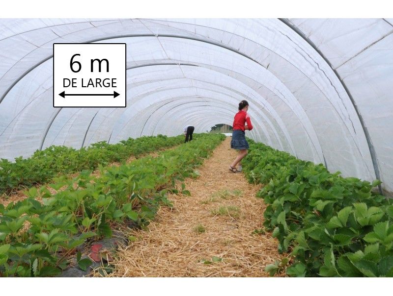 Pk0036 - bâche transparente largeur 6 m, longueur 4 m (6 x 4 m) pour serre de jardin, pebd - bâches direct - 200 microns_0