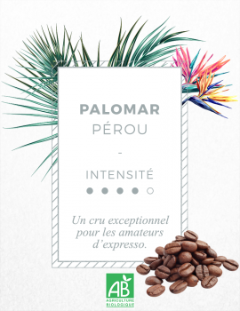 Café en grain Grand Cru Bio - Pure Origine Pérou - Torréfié artisanalement en France - Le Palomar_0