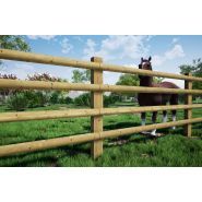 Clôture bois Normandie pour chevaux - Horse Stop - 4 demi-lices, 1m70 - Ref. BT250-4 - Sécurité optimale pour chevaux sportifs_0