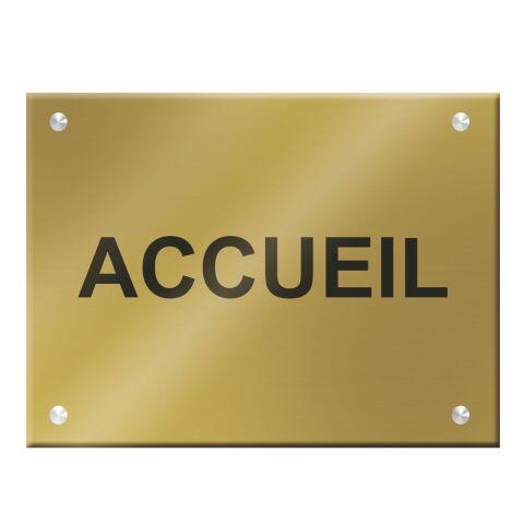 PLAQUE SIGNALÉTIQUE PERSONNALISABLE PLEXI COLOR - 50 X 40 CM 1 LIGNE