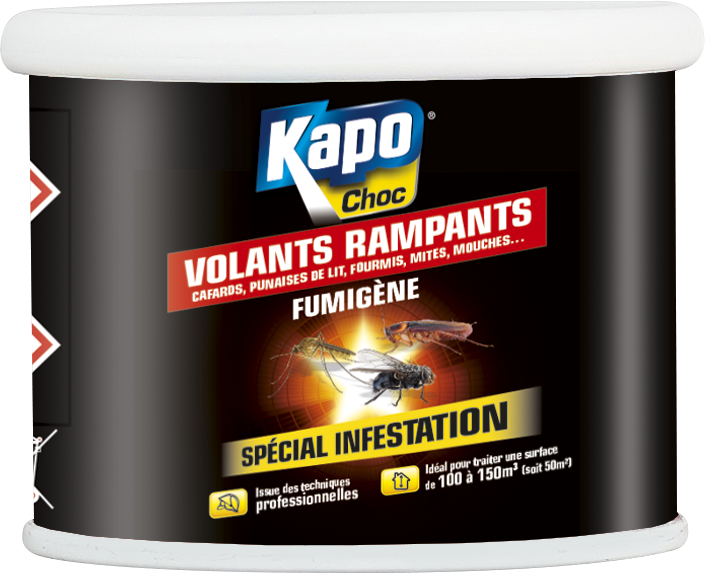 Insecticide fumigène tous insectes KAPO - 150m3 - prêt à l'emploi pour usage intérieur_0