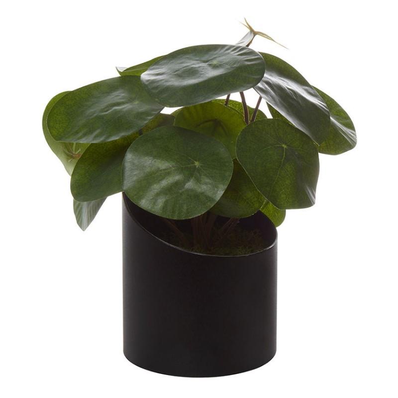 PILEA artificiel à poser VAGUE de Genexco_0