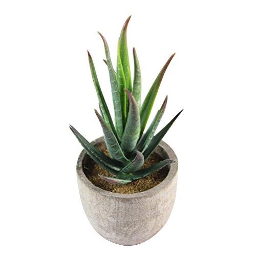 WINOMO - Plantes artificielles avec pot en succulentes pour intérieur - Vert - 7,5x7,5x14,5 cm_0